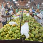 Conseil en vente de  produits de ferme ou de plantation