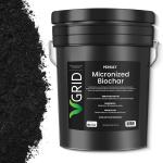 Le biochar activé